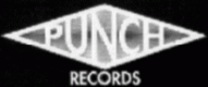 punchrec.gif (8004 Byte)